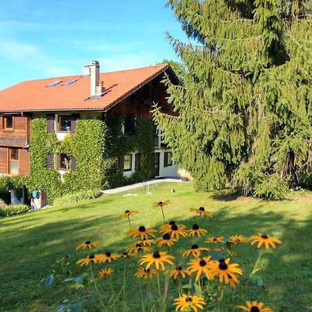 Bed and Breakfast Domaine De L'Olifant Champanges Zewnętrze zdjęcie