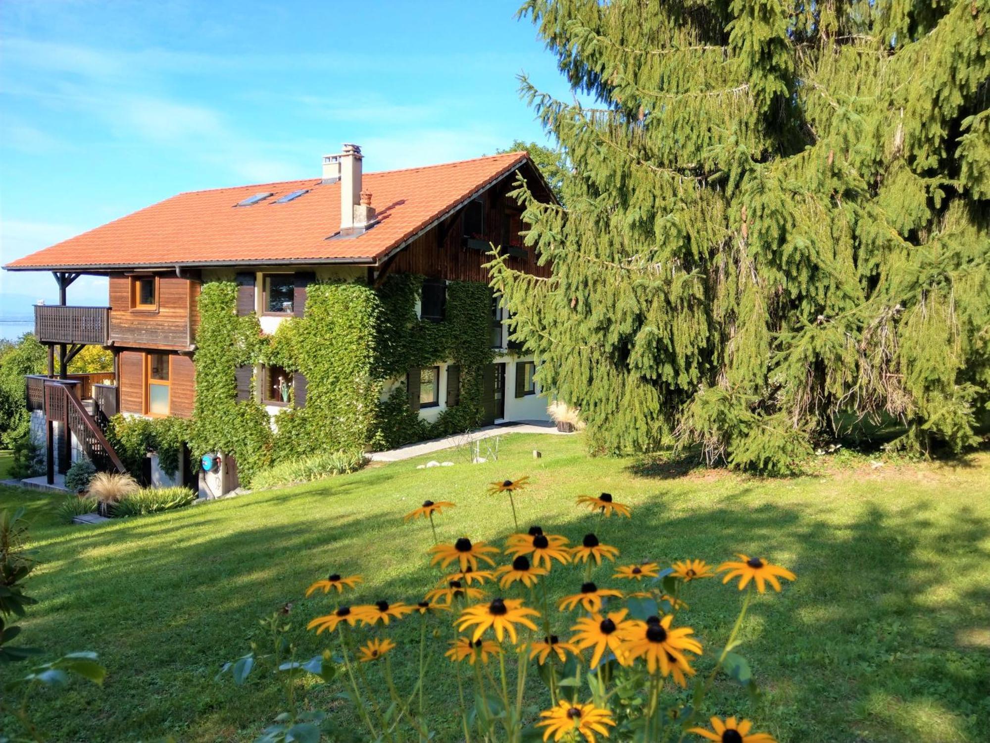 Bed and Breakfast Domaine De L'Olifant Champanges Zewnętrze zdjęcie
