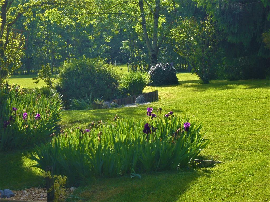 Bed and Breakfast Domaine De L'Olifant Champanges Zewnętrze zdjęcie