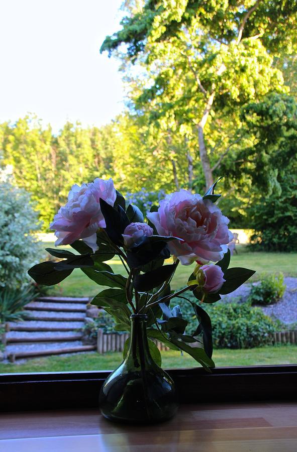 Bed and Breakfast Domaine De L'Olifant Champanges Zewnętrze zdjęcie