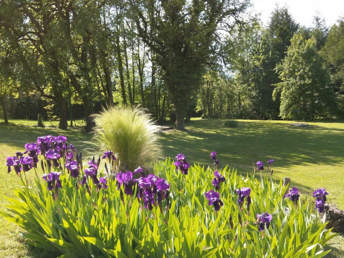 Bed and Breakfast Domaine De L'Olifant Champanges Zewnętrze zdjęcie